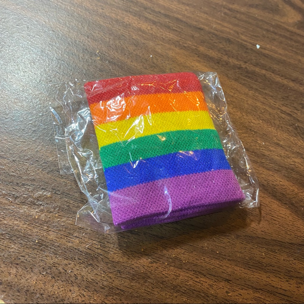 Rainbow Sweatbands